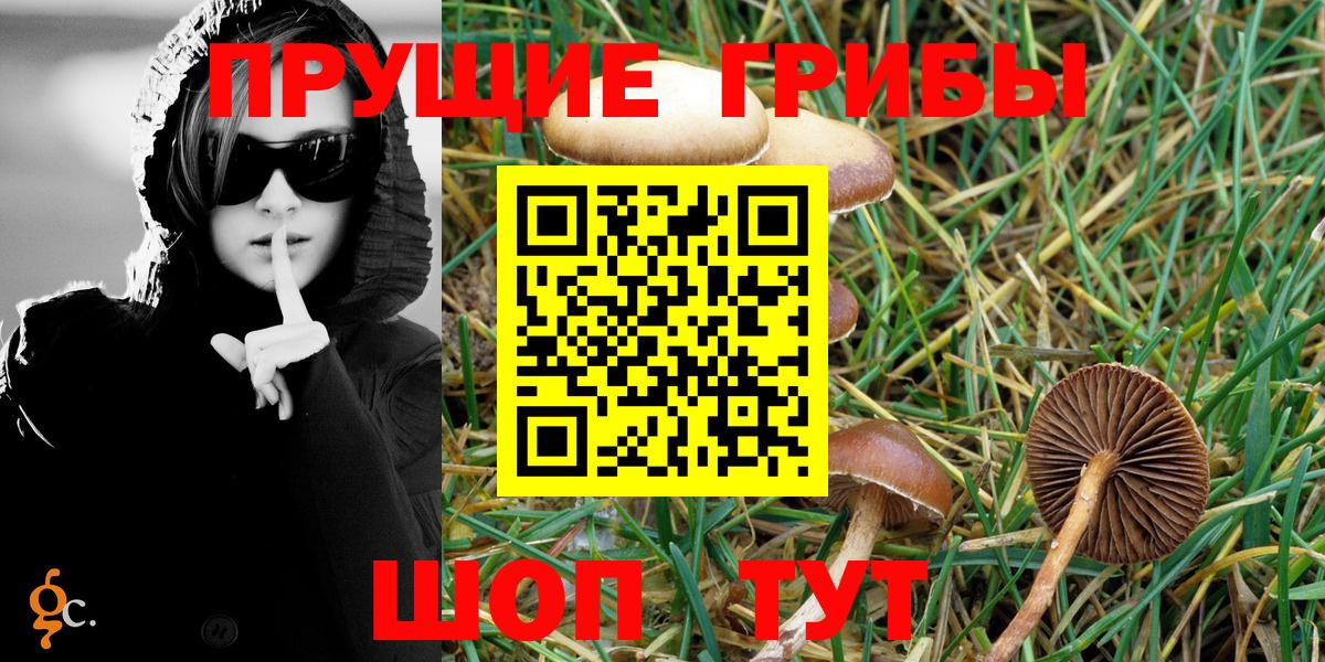 Псилоцибиновые грибы Cubensis  Вход с VPN  Елизово 